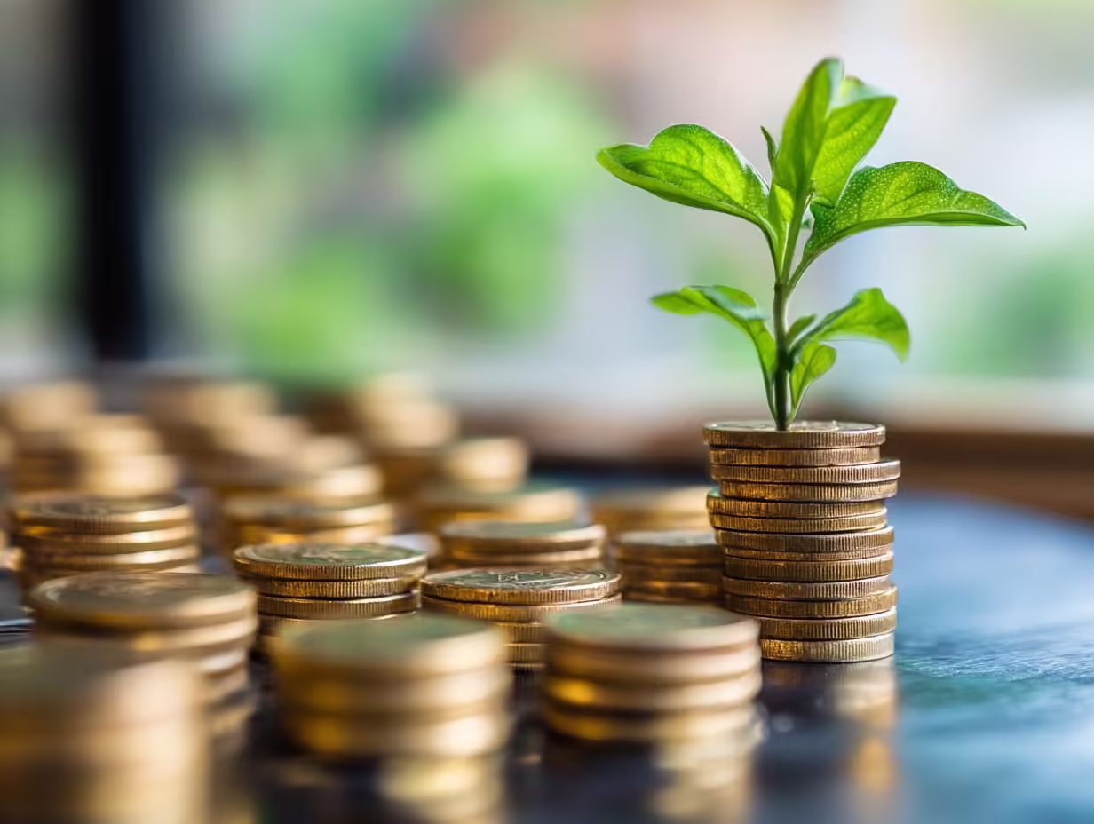 consulente d investimento consulente d investimento