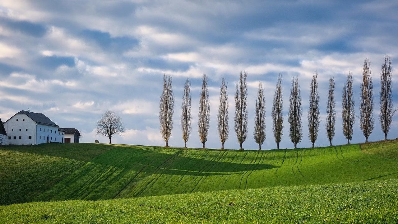 investire nei migliori etf green investire nei migliori etf green