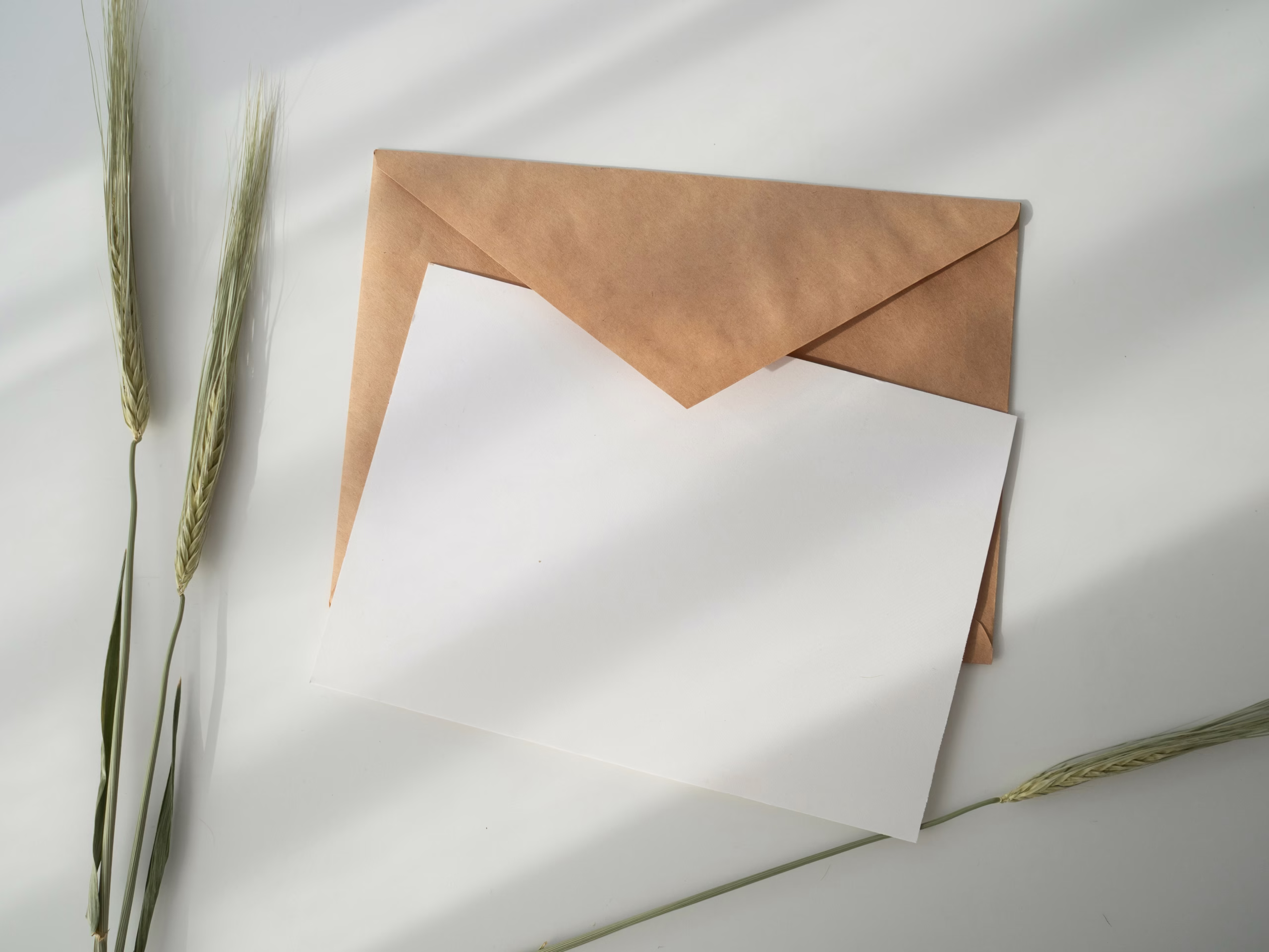 la crisi della disciplina finanziaria una lettera aperta agli investitori la crisi della disciplina finanziaria una lettera aperta agli investitori