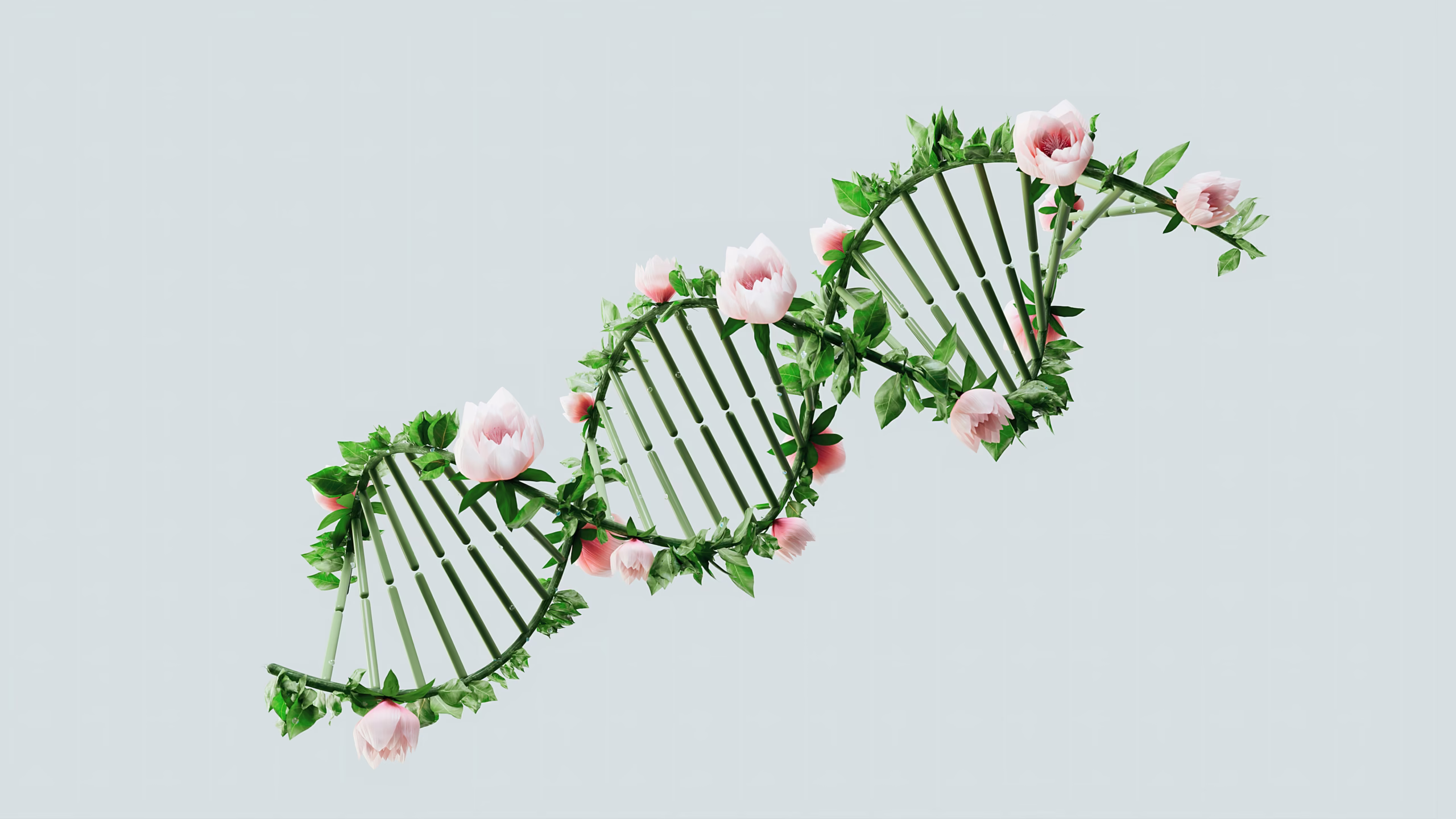 longevity biotech venture fund investire nella scienza che allunga la vita longevity biotech venture fund investire nella scienza che allunga la vita