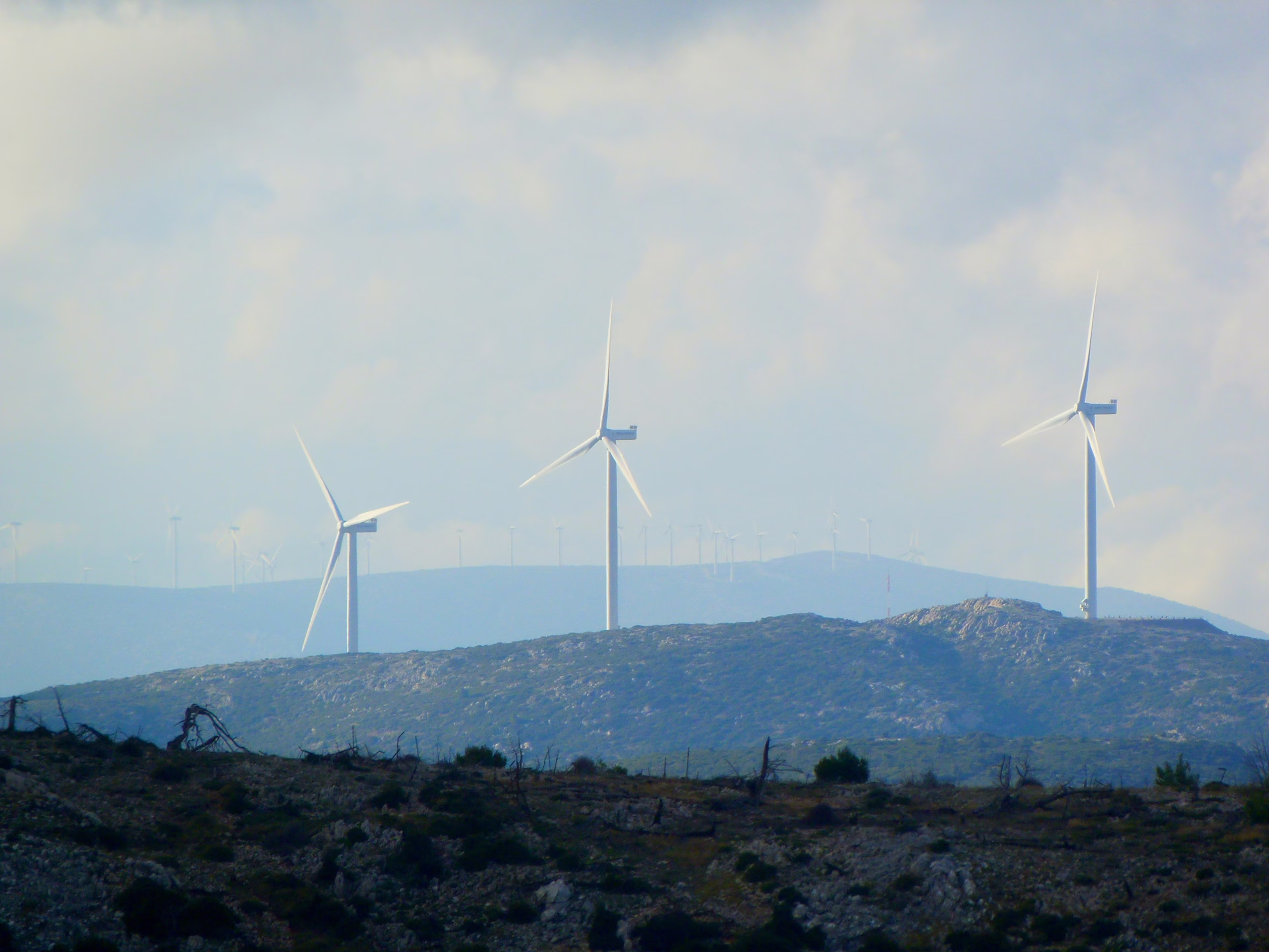 portafogli esg senza greenwashing come scegliere i veri fondi sostenibili nel 2025 portafogli esg senza greenwashing come scegliere i veri fondi sostenibili nel 2025